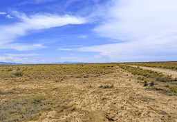 Expand Your Portfolio: 10 Lots in New Mexico! BIDDING IS PER LOT!