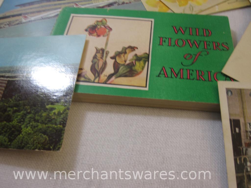 Vintage Postcards, Wildflowers of America, Various Travel Postcards, 1lb