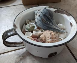 Agate Handled Pot and Seashells