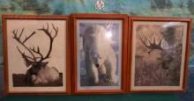 Three Dyed Fabric Frame Pictures of Wildlife