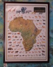 Framed Print from Rowland and Ward of "Africa's Big Game Animals"