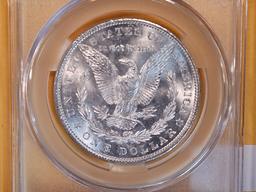 CAC! 1903 Morgan Dollar in Mint State 63