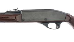 Remington Nylon 66 .22 LR Semi Auto Rifle