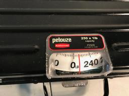 Pelouze by Rubbermaid 250 pound capacity scale