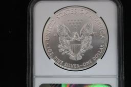 20017 Silver Eagle Coin