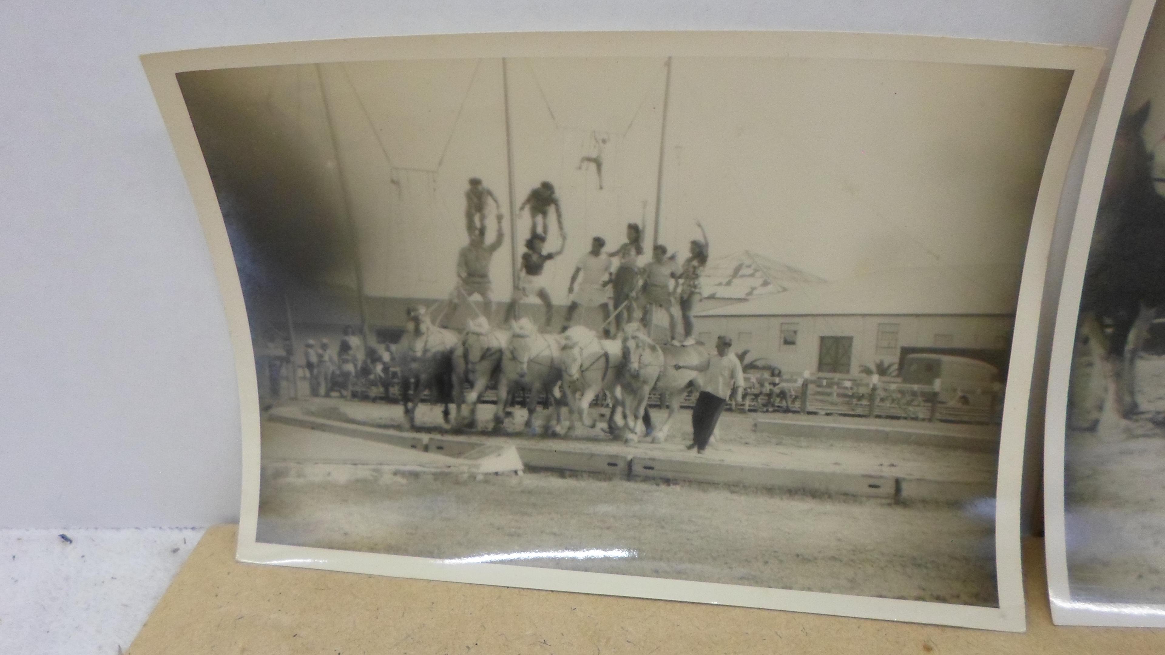 circus photos, early american circus photos
