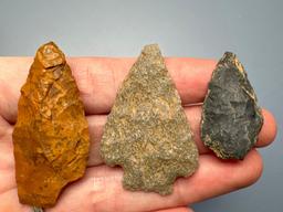 7 Nice Points, Quartzite, Chalcedony and Jasper, Found in Northampton Co., PA, Longest is 2", Ex: Bu