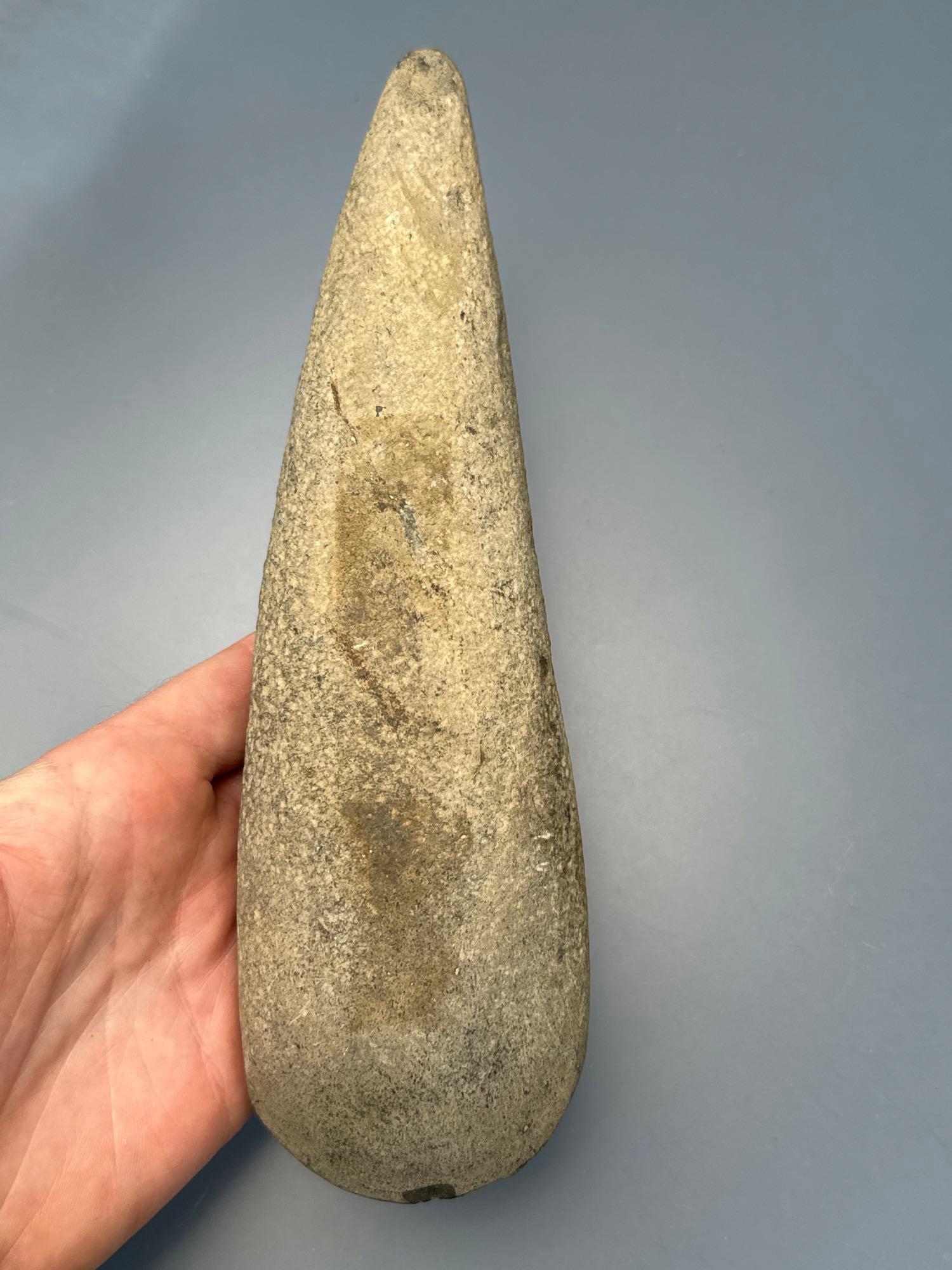 Well-Made 8" Poll Celt, Found in Lancaster Co., PA, Ex: Sonny Delong Collection of York County, PA.