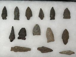 Lot of 26 Various Points, Mainly Found in New Jersey However Several From Midwest Noted, Longest is