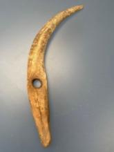 Massive 10 3/4" Antler Tool, Reported to be Found in New York, Perforated Large Hole in Middle