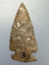 2 1/16" THIN Onondaga Chert Meadowood Point, Found in New York, Ex: Dave Summers Collection