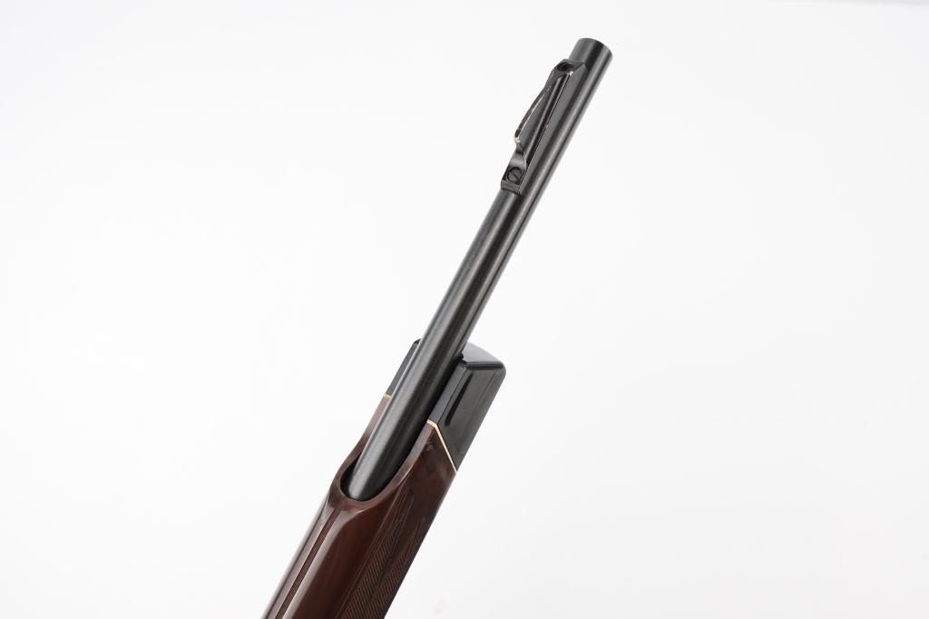 Remington Nylon 12 .22 S/L/LR