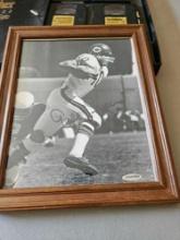 Gale Sayers signed picture b2