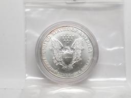 1996 Silver American Eagle Unc, Key Date