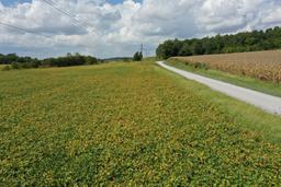 97 ACRES ON MCELVAIN RD IN HANSON KY