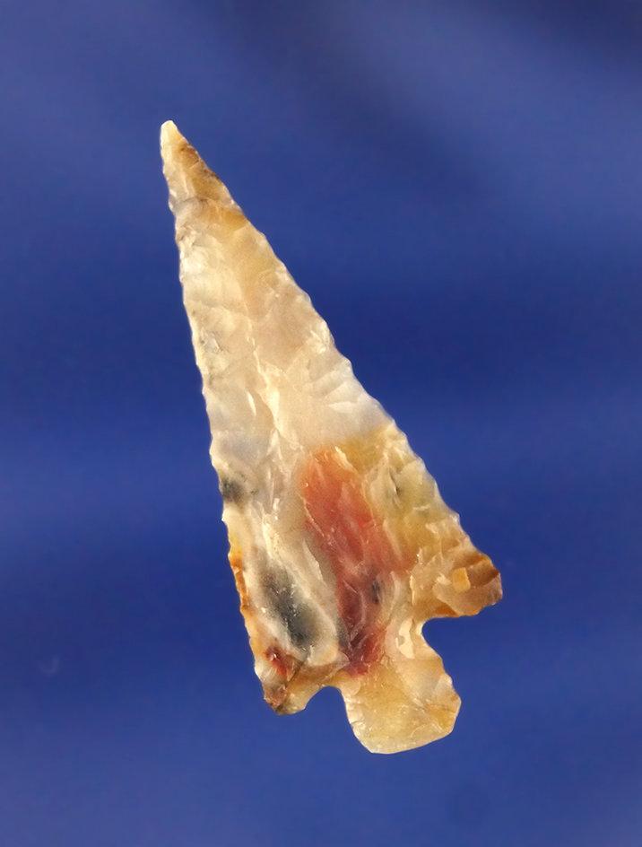 Nice! 1 7/16" Rose Springs Cornernotch made from beautiful multicolored Agate in excellent condition
