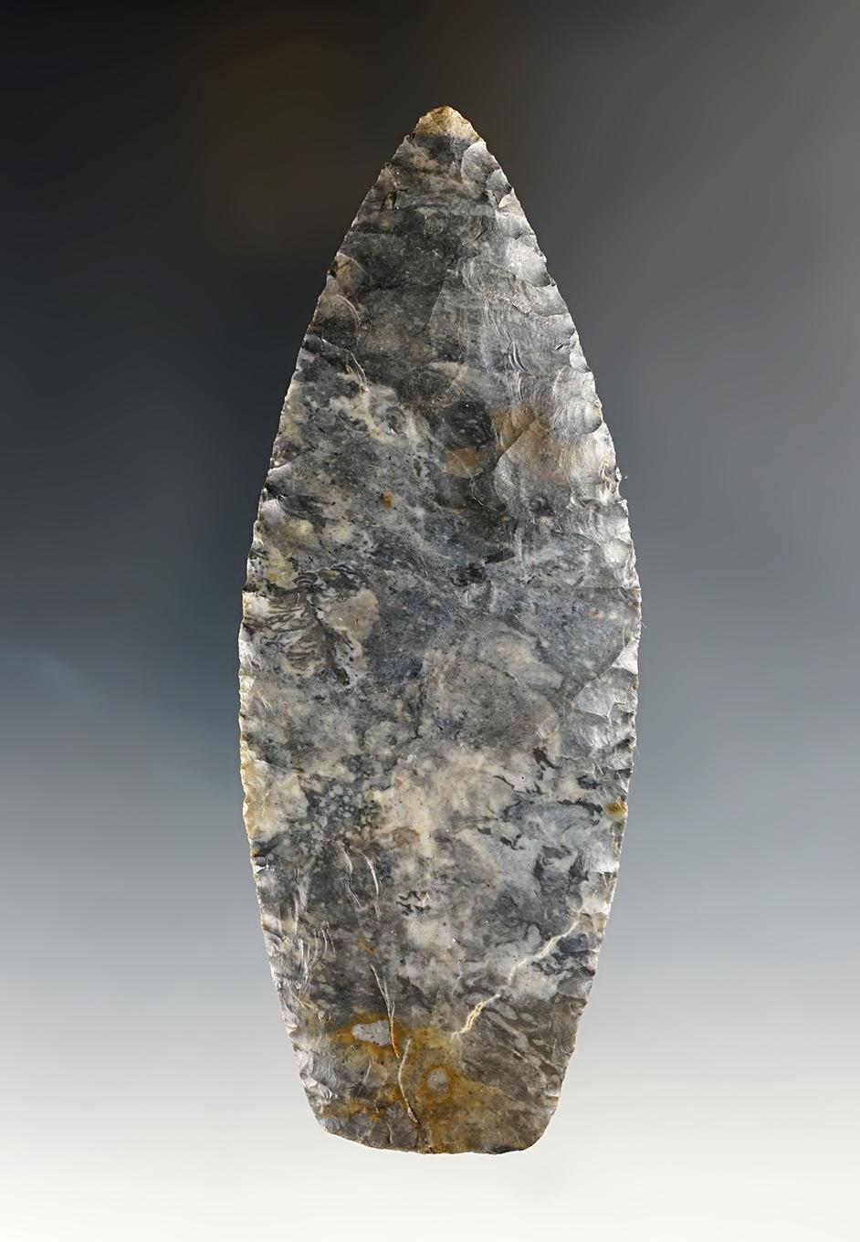 4 15/16" Paleo Lanceolate - Coshocton Flint. Found near Meeker, Marion Co., Ohio. COA.