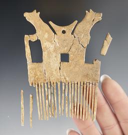 RARE! 3 5/8" Bear Effigy Bone Comb that is perforated. 90% of the original material remains.