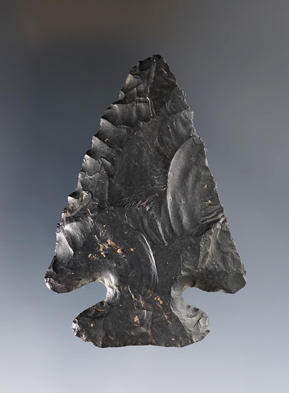 2 3/4" Thebes found in Union Co., Ohio. Steeply beveled and well styled. Patinated Coshocton.