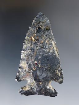 3 1/16" Archaic Thebes Bevel - Coshocton Flint. Found by Chris Hunter in Tuscarawas Co., Ohio.