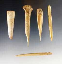 Set of 5 Bone Awls & Tools - Glovers Cave, Christian Co., Kentucky. Ex. Raymond Vietzen.
