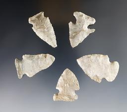 Set of 5 Indiana points all made from Attica (Indiana Green) Chert. The largest is 1 11/16".