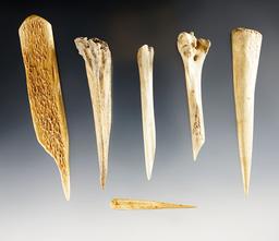 Set of 6 Bone Awls found at Glovers Cave, Christian Co., Kentucky. Ex. Raymond Vietzen.