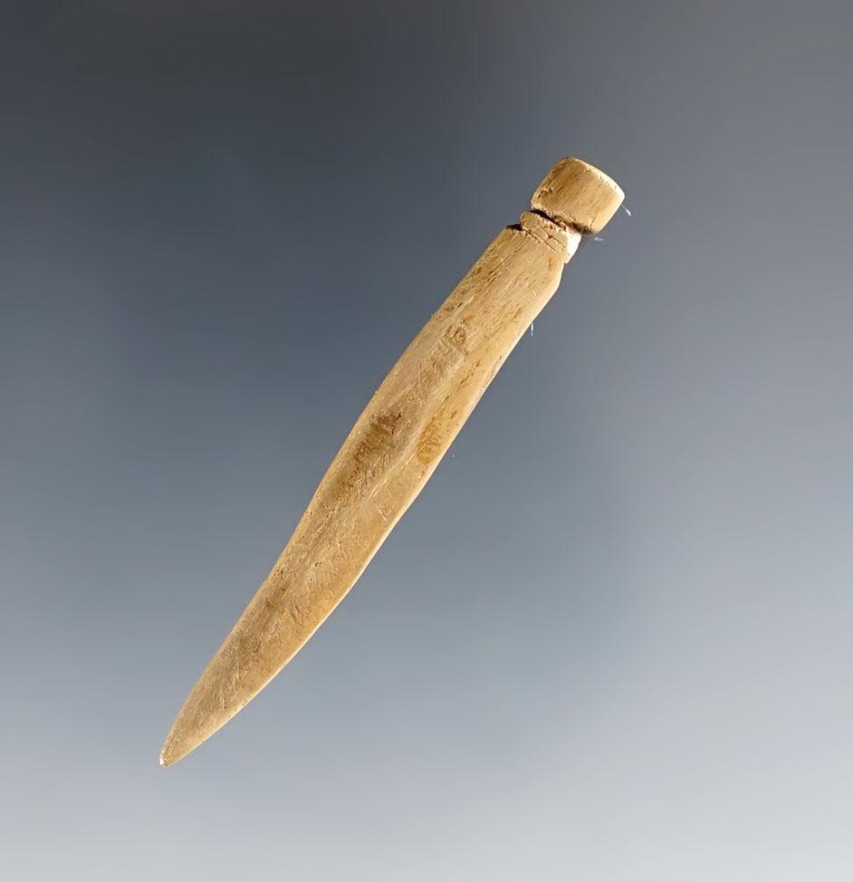 2 3/8" Highly Polished Bone Needle w/ suspension groove. Glovers Cave. Ex. Vietzen.