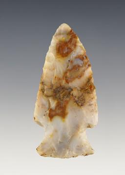 2 1/4" highly colorful Hopewell - Flint Ridge Flint. Found in Knox Co., Ohio by Jack Hooks.