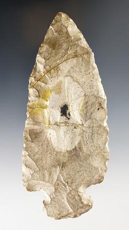 Large 5 1/2" Cornernotch Spear that is broken and glued in two places.  Iroquois Co., Illinois.