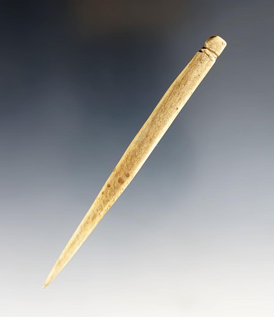 4 3/8" Highly Polished Bone Needle with a suspension groove.  Glovers Cave, Ex. Raymond Vietzen.