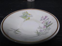 Vintage Cup and Saucer-Richard Ginori-Italy