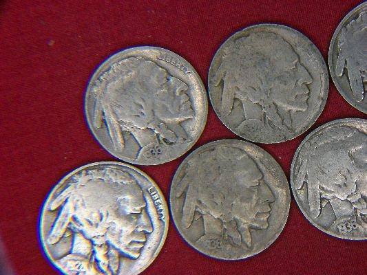 (7) Buffalo Nickels