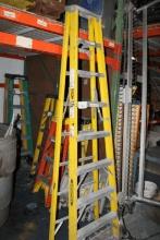 Warner 8ft Ladder