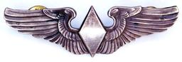 USAAF WWII Womens Air Service Pilot WASP Wing