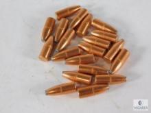 20 Rounds 32 Cal. 170 Grain Jacketed Soft Point FN