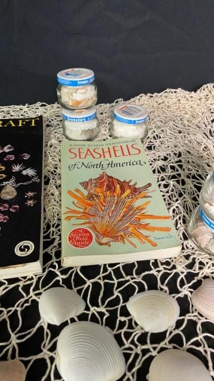 SEASHELL COLLECTION AND REFERENCE BOOKS