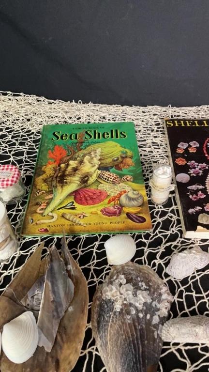SEASHELL COLLECTION AND REFERENCE BOOKS