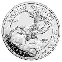 Somalia 1 oz Silver Elephant 2023 Rabbit Privy Mark