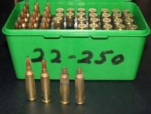 50 Rounds 22-250
