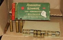 7 Rounds Remington .244, Box & Brass