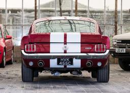 Ford  Mustang GT350 Tribute
