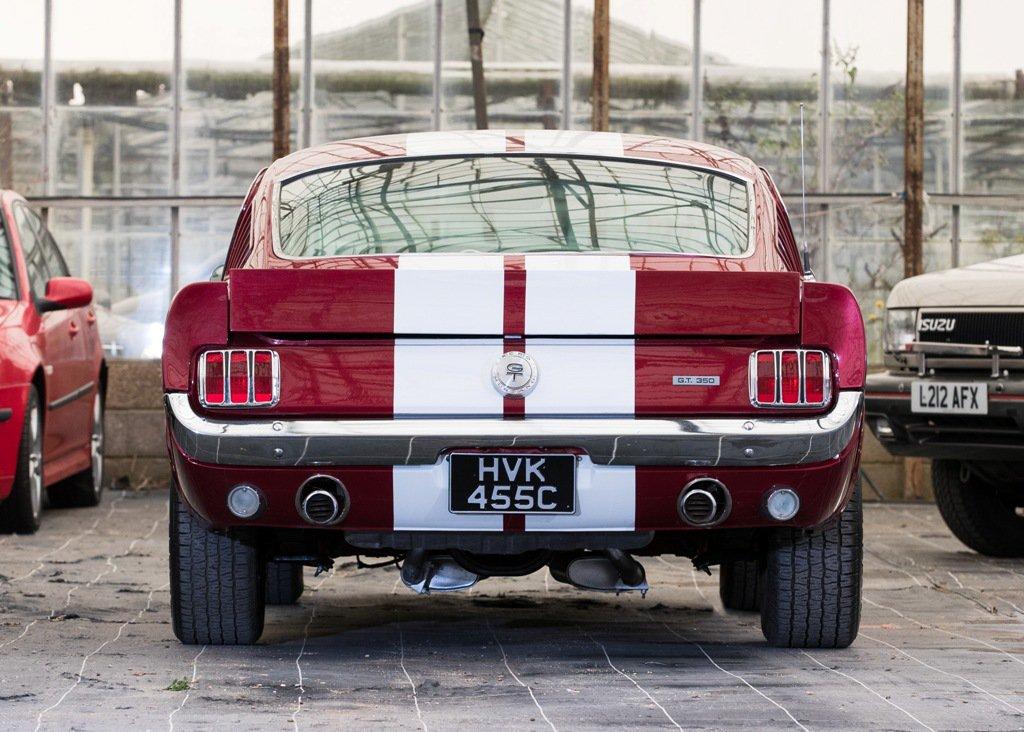 Ford  Mustang GT350 Tribute
