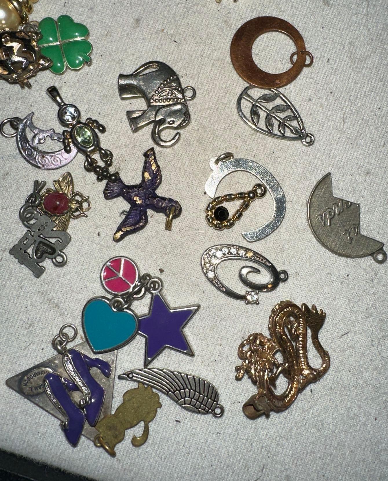 30 Assorted Charms and Pendants