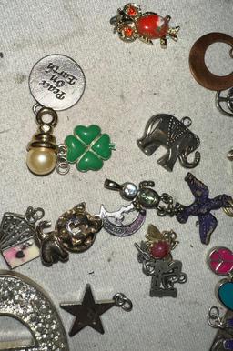 30 Assorted Charms and Pendants