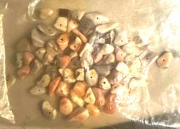 Bag of Agate and Shell Beads Drilled and Ready for Necklace