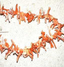 Mediterranean Branch Coral Necklace - end of an ERA- No more can be Harvested