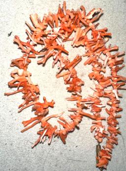 Mediterranean Branch Coral Necklace - end of an ERA- No more can be Harvested