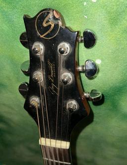 Greg Bennett ST6-1113S Acoustic Guitars