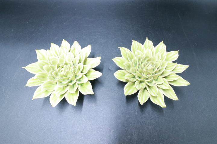 Pair of Ceramic Flowers